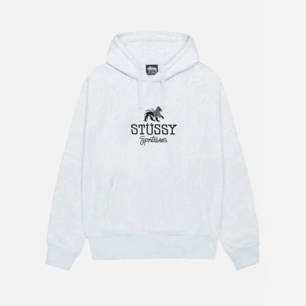 STUSSY SPORTSWEAR HOODIE